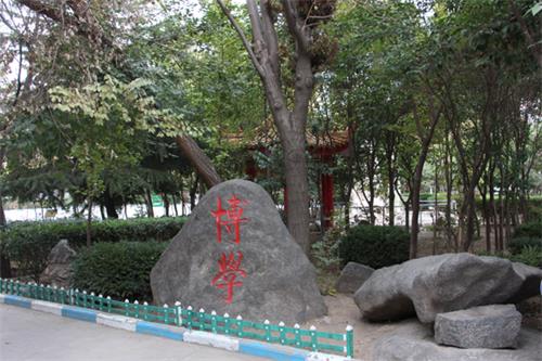  山東人民專修學(xué)院怎樣安排學(xué)生就業(yè)？