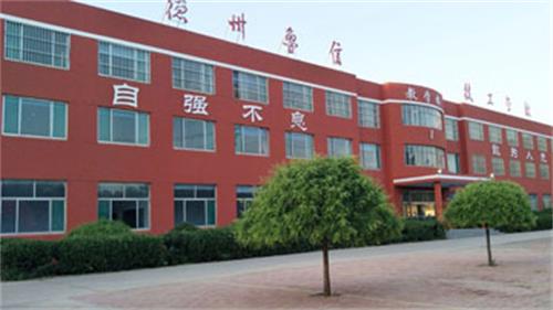 山東德州魯信通懋職業(yè)技工學校就業(yè)情況怎么樣？