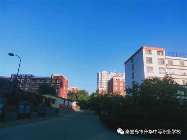 秦皇島市升華中等職業(yè)學(xué)校有電商專業(yè)嗎？