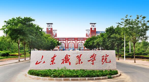山東職業(yè)學(xué)院有哪些教學(xué)成果？