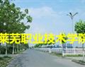 萊蕪職業(yè)技術學院